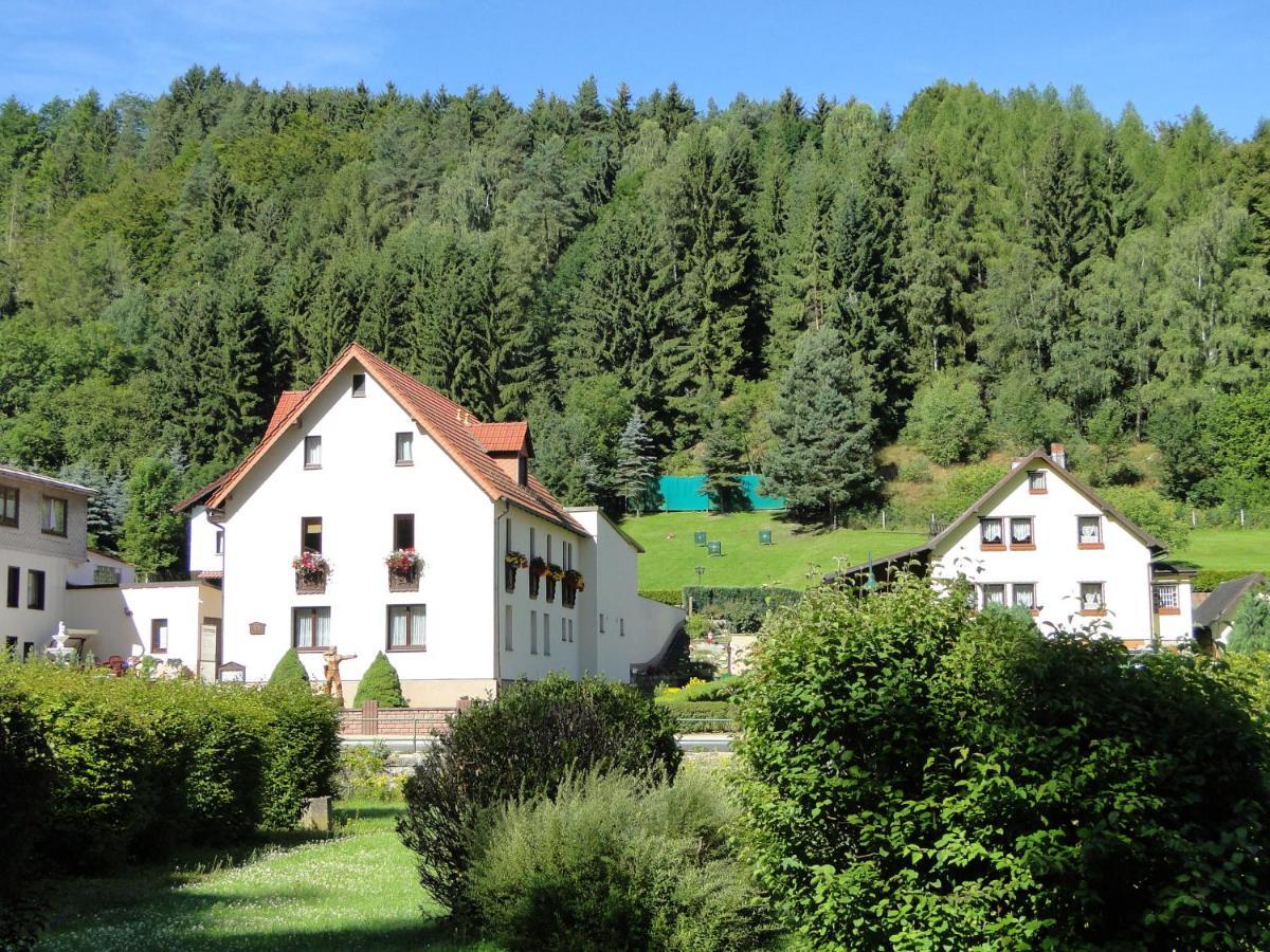 4 Sterne Ferienwohnung Sommerberg Inklusive Gaestekarte Rohrbach  Dış mekan fotoğraf